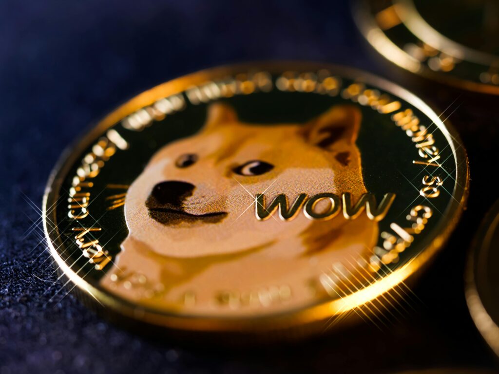 If You Had Invested $1,000 in Dogecoin When Elon Musk First Tweeted